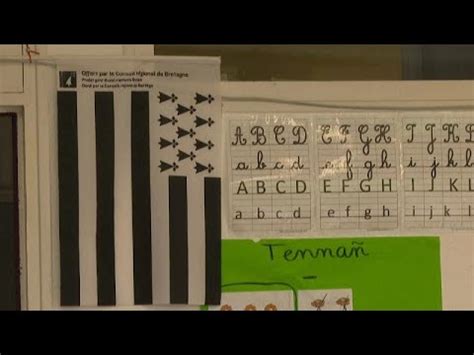 France l enseignement immersif des langues régionales est il