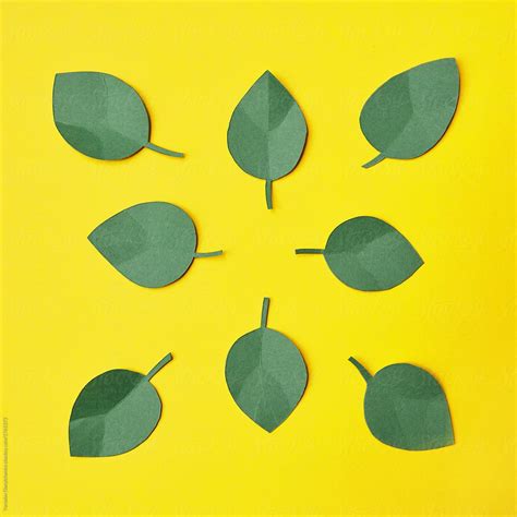 Paper Craft Green Leaves Over Yellow By Stocksy Contributor Yaroslav