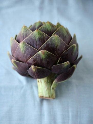 Artichoke Varieties | Saveur