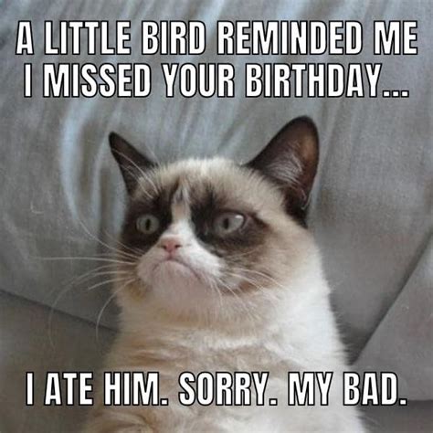 50+ Funny Happy Belated Birthday Memes for Everyone