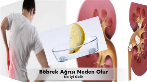 Böbrek ağrısı nedenleri Böbrek ağrısı nasıl geçer Böbrek iltihabı