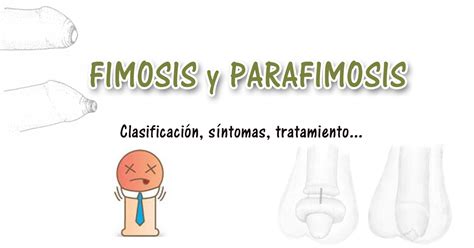 Fimosis Y Parafimosis Salud Y Bienestar