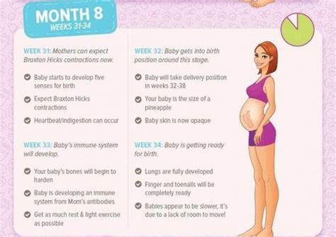 Months Pregnant Symptoms And Fetal Development Pampers