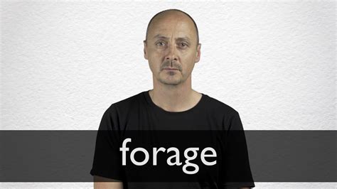 How to pronounce FORAGE in British English - YouTube