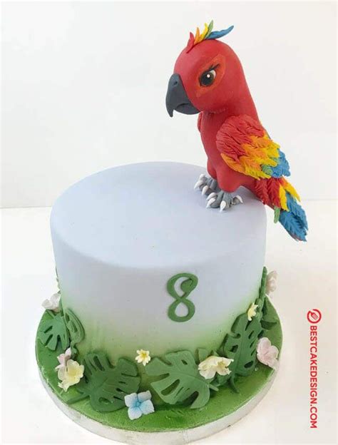 50 Parrot Cake Design Cake Idea October 2019 Cake Cool Cake