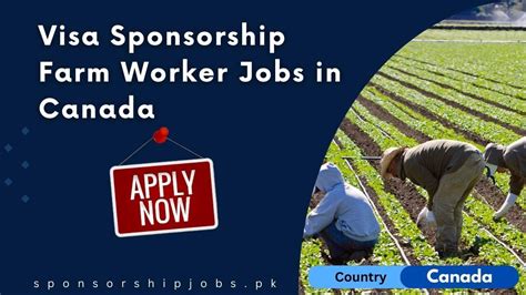 Visa Sponsorship Farm Worker Jobs In Canada Apply Now