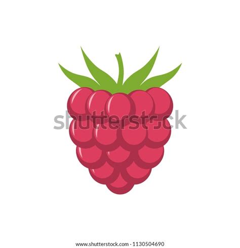 Raspberry Leaf Vector Icon Raspberry Icon Stock Vector Royalty Free