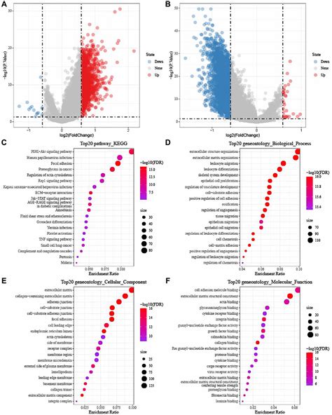 Defining Three Ferroptosis Based Molecular Subtypes And Developing A