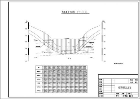 某小二型病险水库除险加固工程大坝 溢洪道设计cad全套施工图水利枢纽土木在线