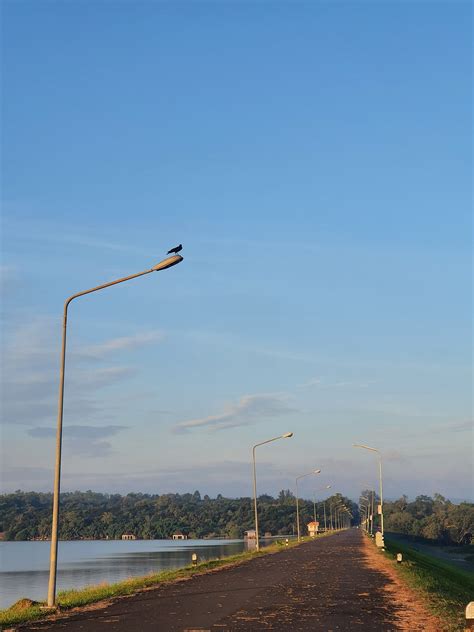 Road Route Bird Free Photo On Pixabay Pixabay