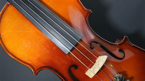 All You Need To Know About Violin Fingerboard Violinspiration