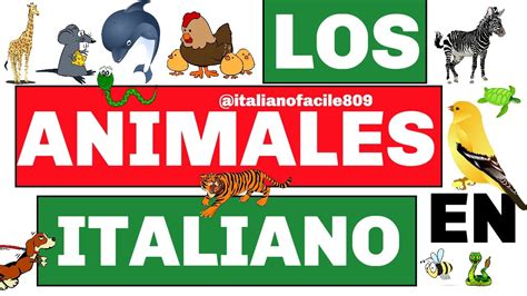 Los Animales En Italiano Gli Animali Aprendevocabulariosenitaliano