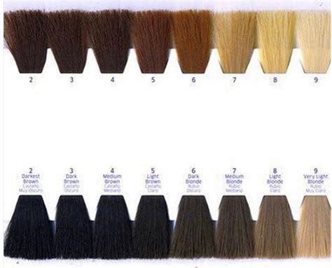 Level chart hair color 448084-Level 6 hair color chart loreal ...