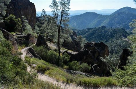 Pinnacles National Park: Trails, Caves & Condors - The Unending Journey ...