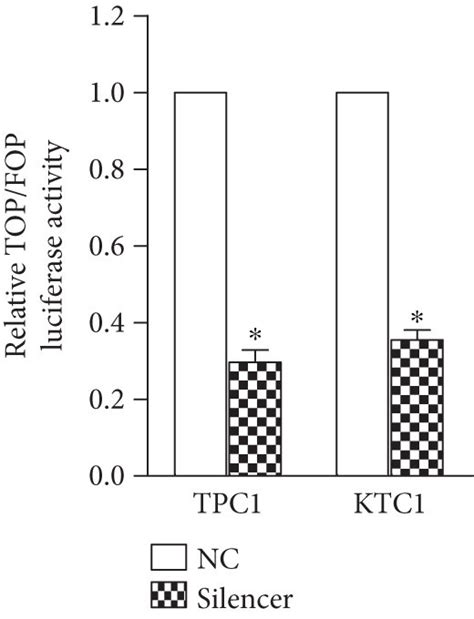 Depletion Of Loc N Inhibits The Wnt Catenin Signaling A