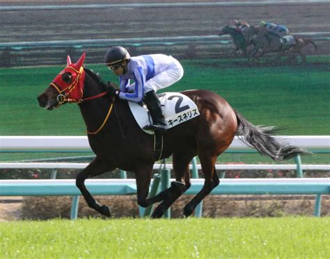 中山5r新馬戦を制したキースネリス（撮影・郡司 修） ― スポニチ Sponichi Annex ギャンブル