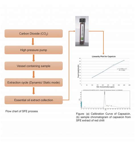 Sfe Supercritical Fluid Extraction And Application Of Bioactive