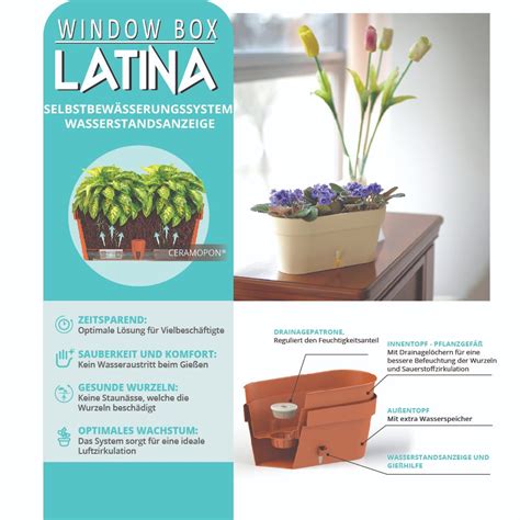 Santino Latina Window Box Pflanzt Pfe L Cm H Cm Jade