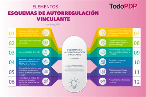 Elementos De Un Esquema De Autorregulación Vinculante Todopdp Todopdp