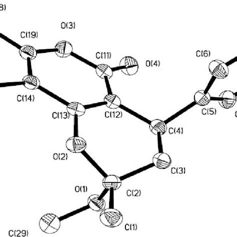 Ortep Drawing Of The Complex With Atomic Numbering Scheme Download Scientific Diagram