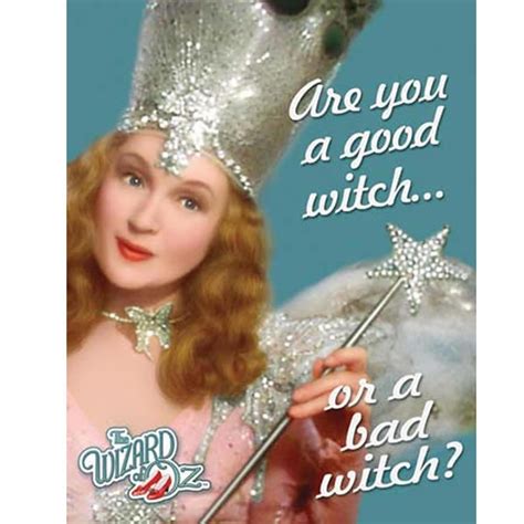 The Wizard Of Oz Glinda The Good Witch The Worst Witch Glenda The