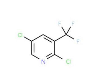 2 5 Dichloro 3 Trifluoromethyl Pyridine CAS 70158 59 7 SCBT