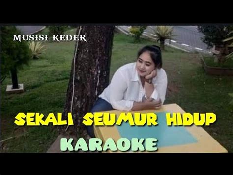 Sekali Seumur Hidup Karaoke Lesti Youtube