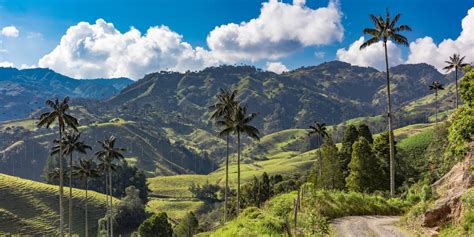 Colombia Nature & Cultural Expedition | Tours of Colombia | Uncover Colombia