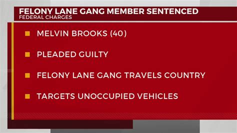 Felony Lane Gang Member Sentenced Wkrn News 2