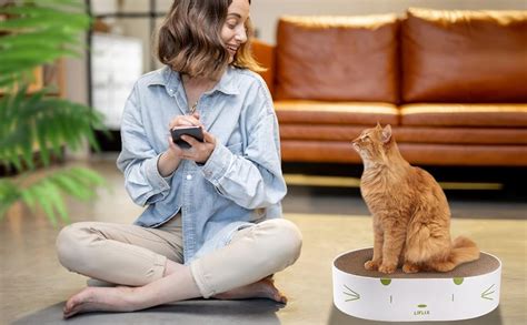 Liflix Griffoir Pour Chat En Carton Lit Rond Pour Chat Bol Ovale