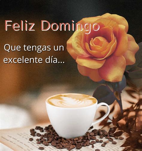 80 Imágenes Feliz Domingo ☀️ Imágenes Buenos Días