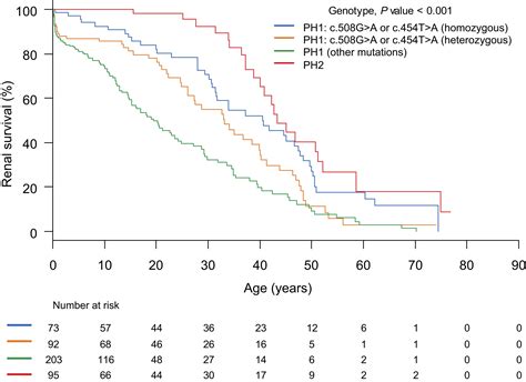 Patients With Primary Hyperoxaluria Type 2 Have Significant Morbidity