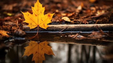 Premium AI Image Autumn Concept A Yellow Maple Leaf Is Reflected In A