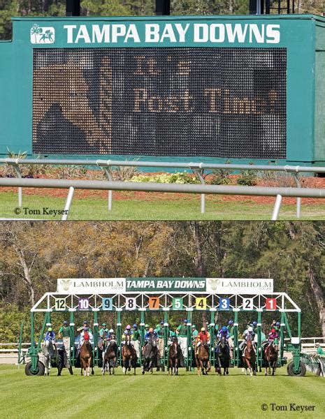 Reflections of Tampa Bay Downs | Daily Racing Form