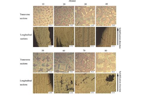 Microstructure And Pore Morphology At Different Heights R 0 1