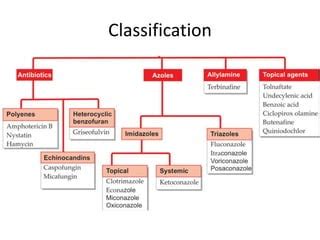 Anti Fungal Drugs PPT