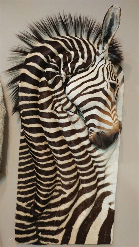 Zebra Wall Art Mount Zebra Wall Art Zebra Animal Print Rug