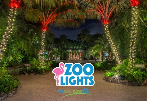 Zoo Lights advance ticket discounts at Palm Beach Zoo - South Florida on the Cheap