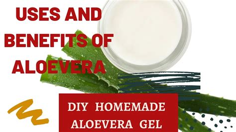 How To Make Aloe Vera Gel Easily At Homediy Homemade Aloe Vera Uses And Benefits Of Aloevera