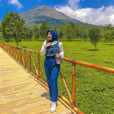 Kebun Teh Tambi Wisata Indah Dengan Hamparan Hijaunya Teh