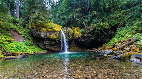 Ford Pinchot National Forest In Washington Expedia