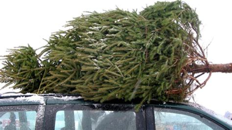 Blaulicht aus der Region Stuttgart 8 Januar Christbäume auf Autos