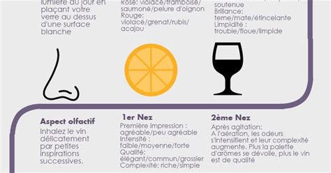 Initiation à la dégustation de vin Infographie crée par le Master 2