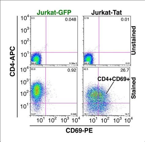 Cd69 Monoclonal Antibody Fn50 Pe 12 0699 42