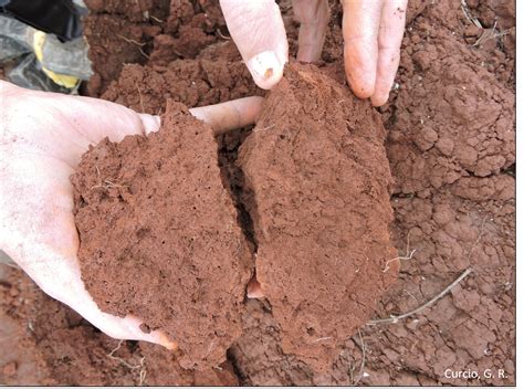 Compacta O Do Solo Subplanalto Cascavel Secretaria Da Agricultura