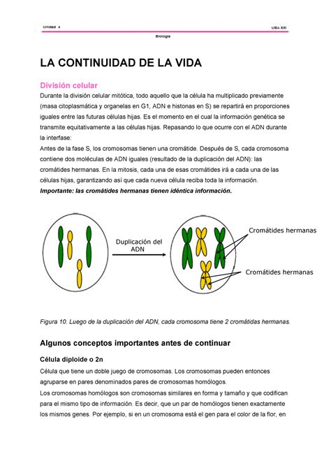 Machete 8 Contenido de biología UBA XXI Cbc 2020 LA CONTINUIDAD DE