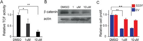 9 cis retinoic acid activation of RXR α suppresses β catenin