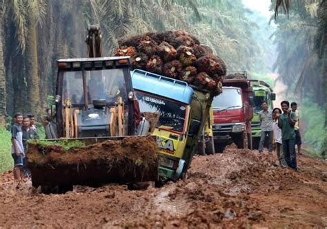 Riau Kecipratan Rp 392 Miliar DBH Sawit Jangan Dipakai Kegiatan