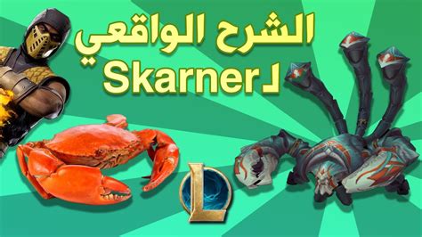 شرح Skarner الواقعي ليج أوف ليجيندز League Of Legends Youtube