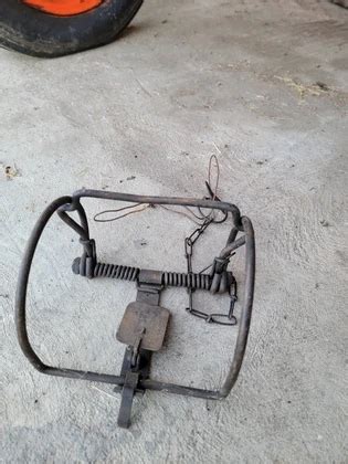 Item Up For Bidding At Auction Gay Estate Auction In Savannah Ny